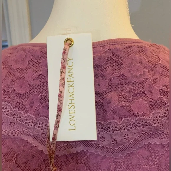 NWT LoveShackFancy Pink Lace Mini Dress - Picture 5 of 6